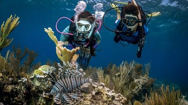 Adventure Diver